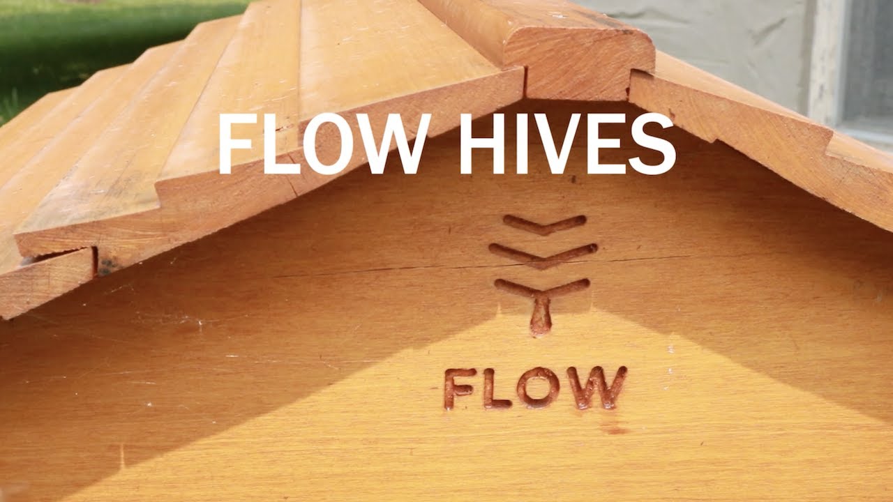 Flow Hive