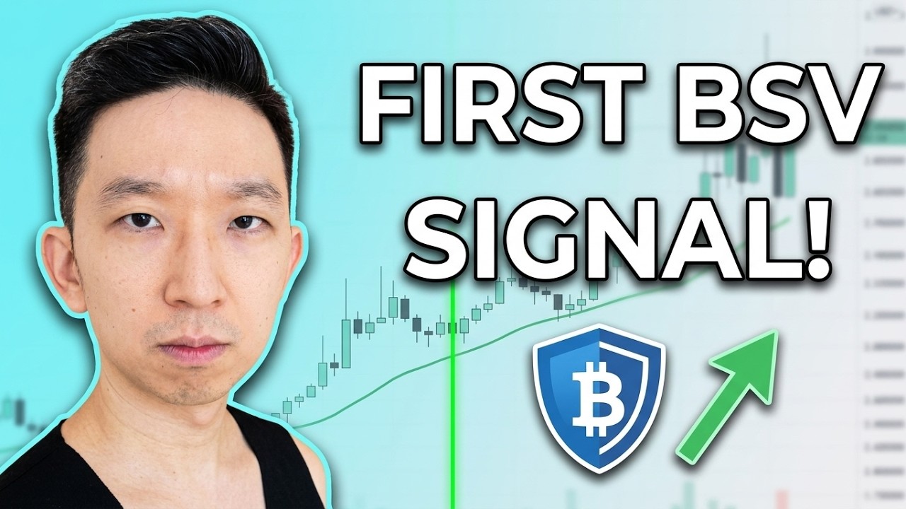 Bitcoin SV BSV только что подал первый бычий сигнал!