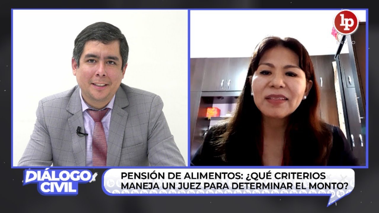 Alimentos: ¿qué criterios maneja un juez para determinar el monto? | Juan Carlos Del Aguila