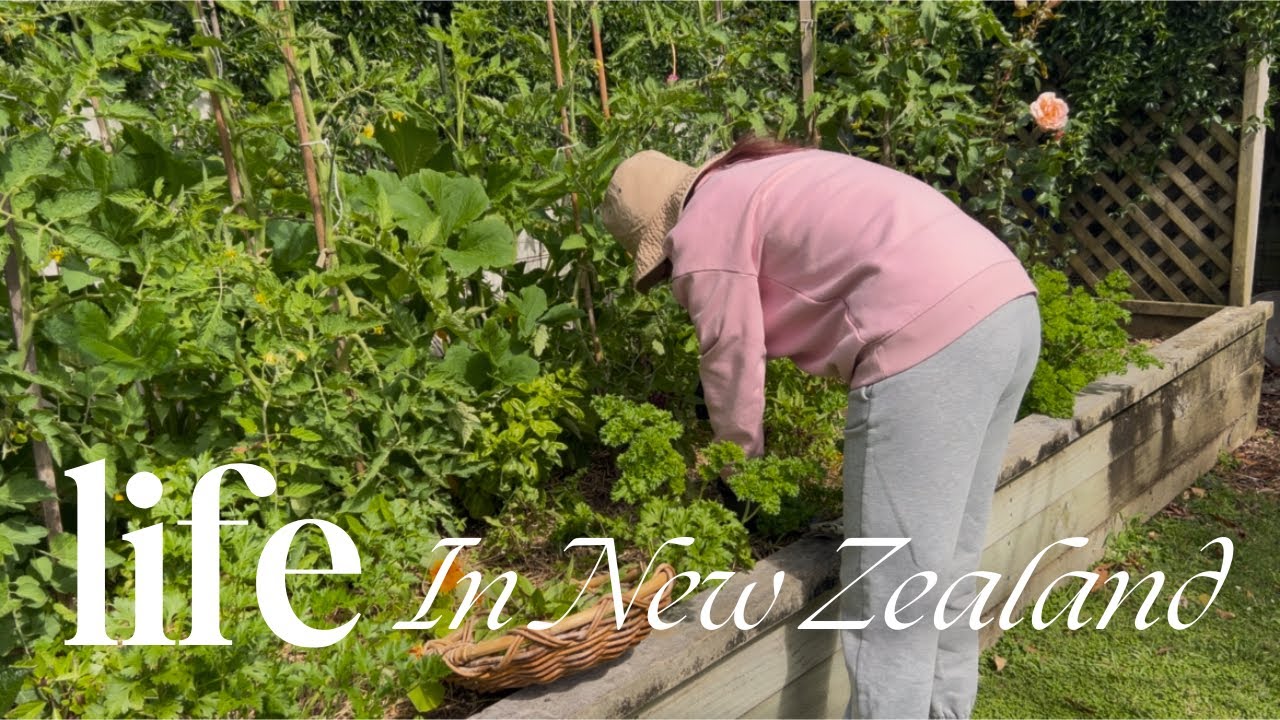 Our slow life in New Zealand | Living frugally because of our big spending last year | Life reset