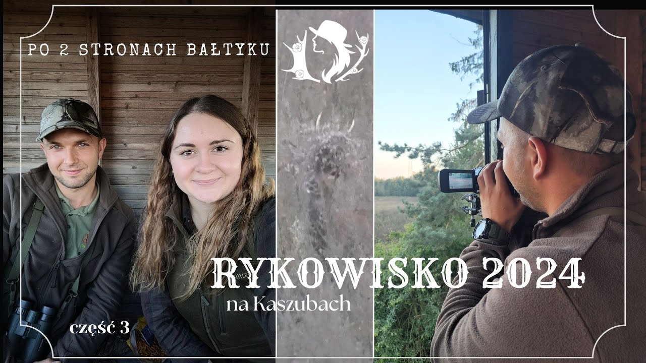 Rykowisko na Kaszubach cz. 3