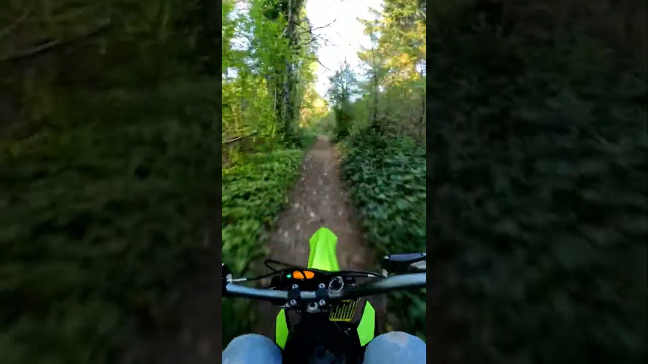SURRON HYPER BEE IS FAST ON THE TRAILS #pnw #surron #pitbike #dirtbike #singletrack #gopro