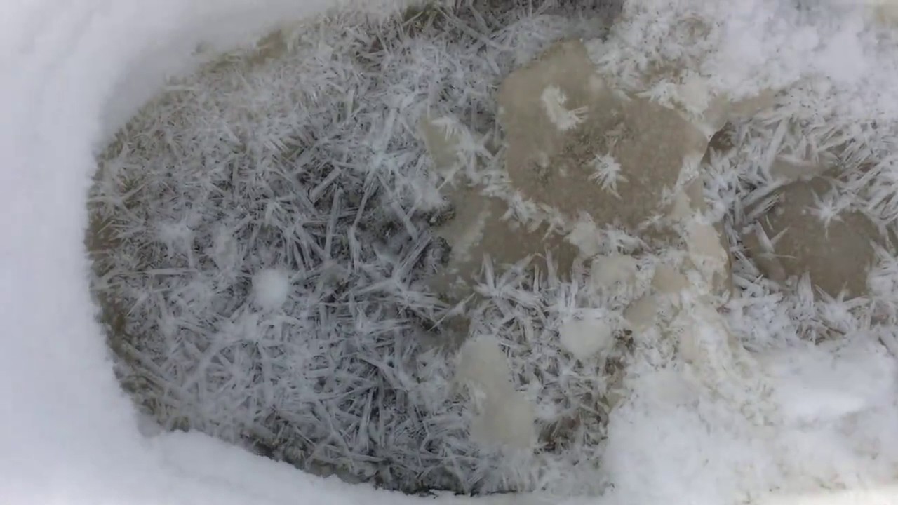 Ice Crystals in Foot Print - Phenomena