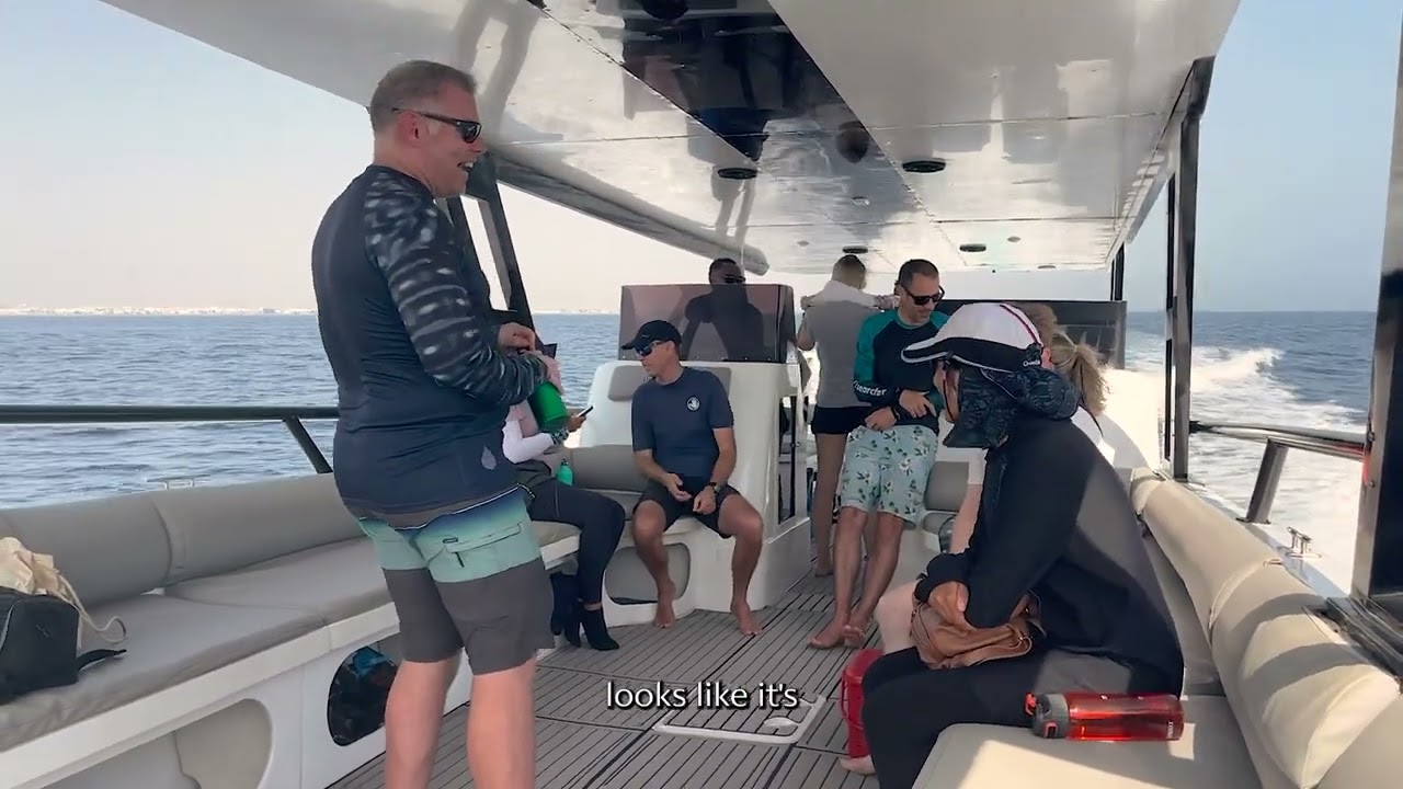 Monitoring Whale Sharks with the Marine Megafauna Foundation – Atlantis Atlas Project