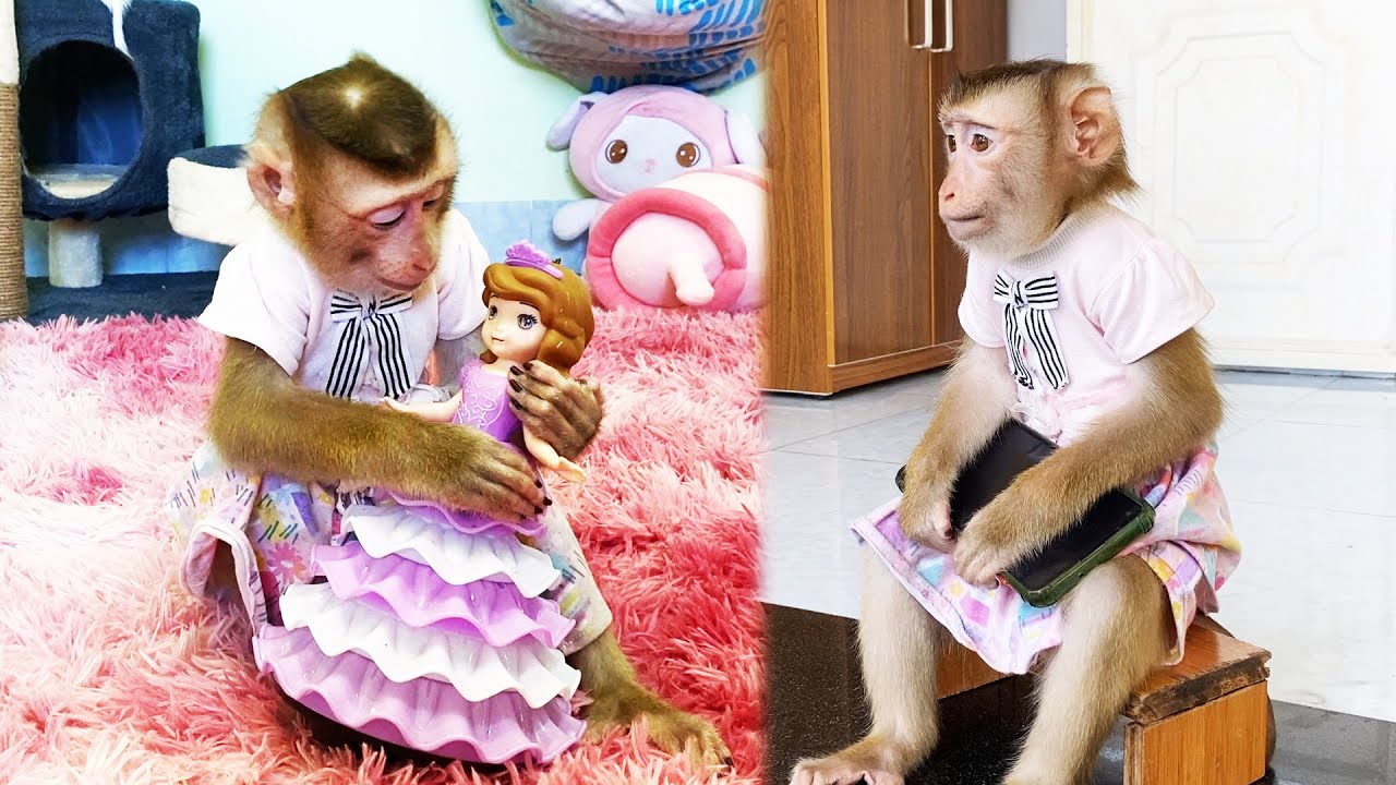 Monkey LyLy worried and waited patiently because mom was out for a long time when it was sunny