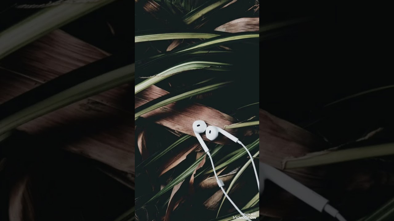 دلال الصغيره مهرجان لمه وفله 