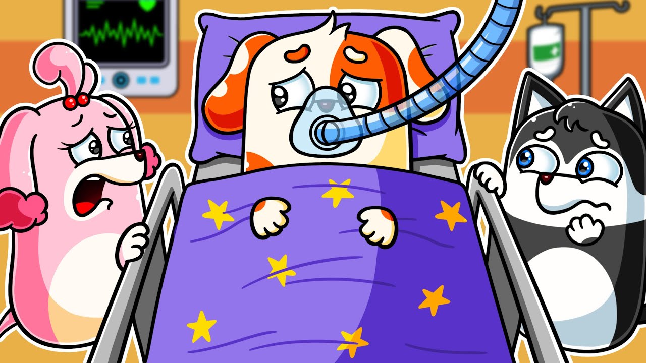 New Animation | Hoo Doo GOT SICK...HOME ALONE !!! Hoo Doo Super Pup