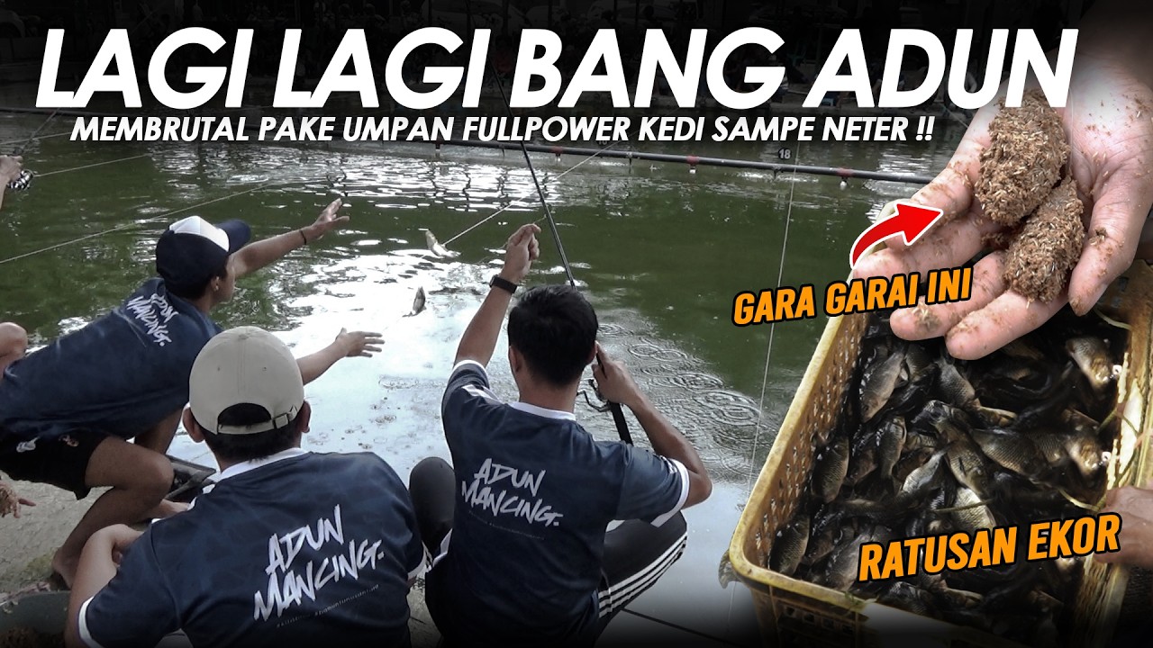 BANG ADUN BIKIN KEDI KETETERAN !! SERBUK HAROM FULLPOWER BIKIN IKAN KUMPUL DILAPAK || Am#692