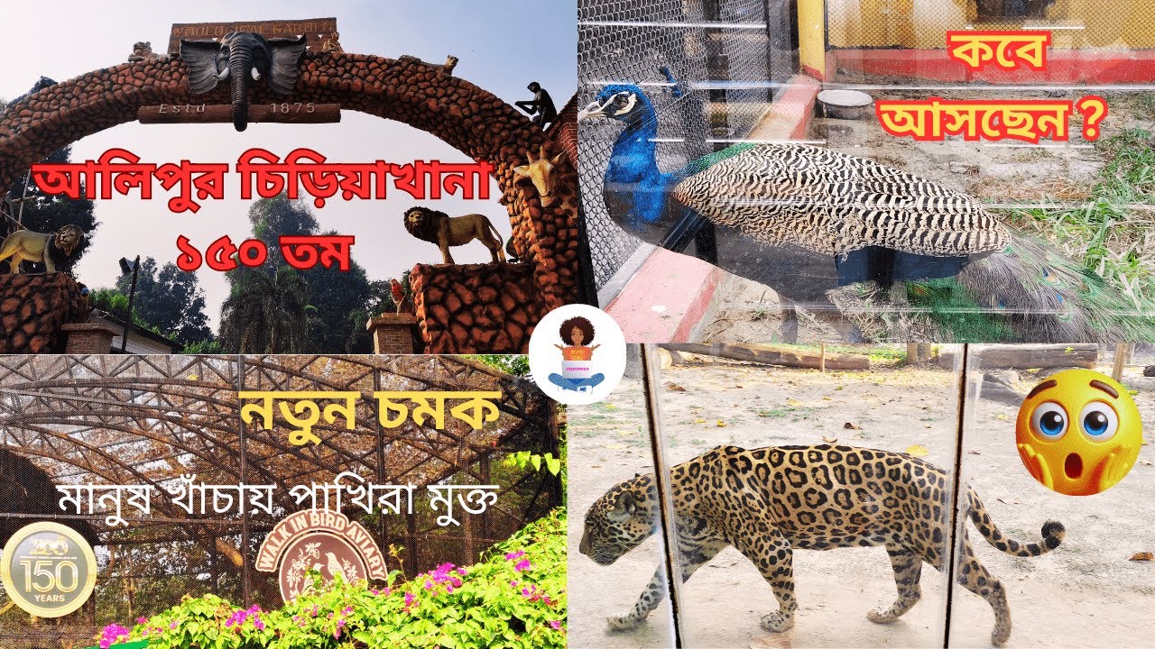 Kolkata Alipore Zoo  150 Years | ১৫০ তম বর্ষে কলকাতা আলিপুর চিড়িয়াখানার নতুন আকর্ষণ |