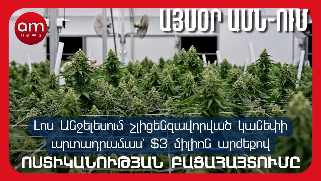 ԱՄՆ-ն ՍՅՈՒՆԻՔԻ ՄԱՍԻՆ / ՄԵԴԻՔԵՅԴԻ ՍԿԱՆԴԱԼ / ՍԽԱԼ ՁԵՐԲԱԿԱԼՈՒԹՅՈՒՆՆԵՐ
