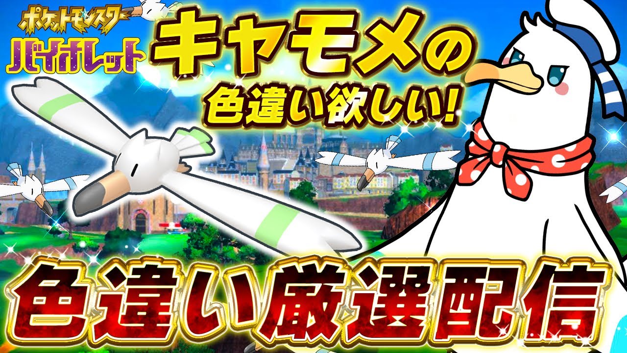 色違いキャモメを探す旅【かもめ社長がキャモメを探す】 #2 #色違い #色違い厳選 #色違い縛り