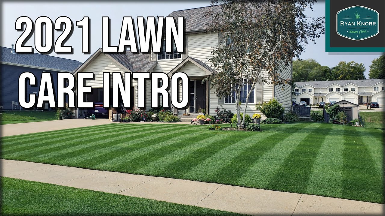 Let's Talk 2021 LAWN CARE!!!