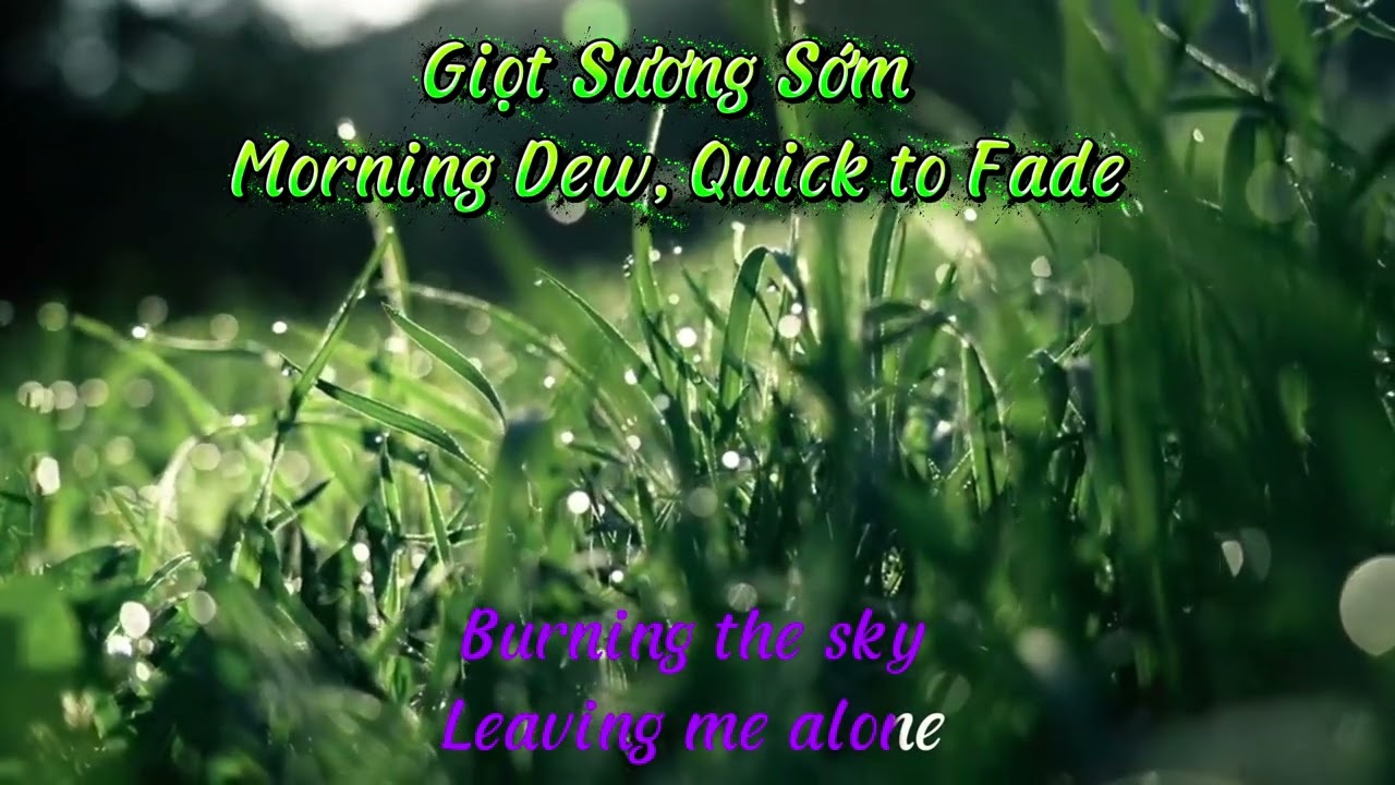 Giọt Sương Sớm Quick to Fade - C&ocirc;ng Ho&aacute;n - #tinhca #tinhcam #newvideo