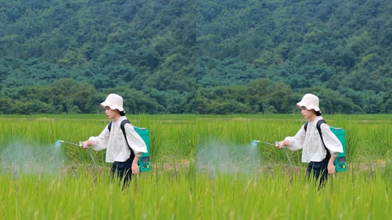 农忙的晌午，一碗手工凉虾下肚，比什么山珍都解乏～#记录我的农村生活 #农村美食