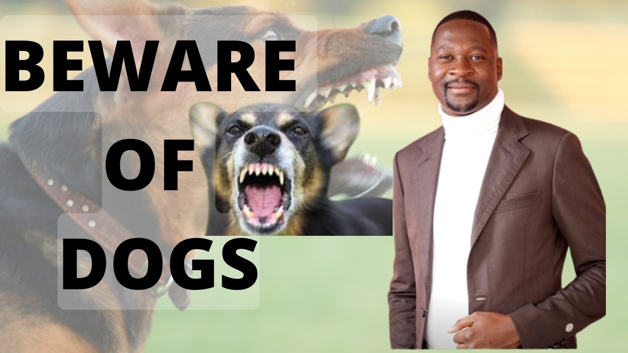 Beware of Dogs | Rev E Makandiwa | 02/03/2008