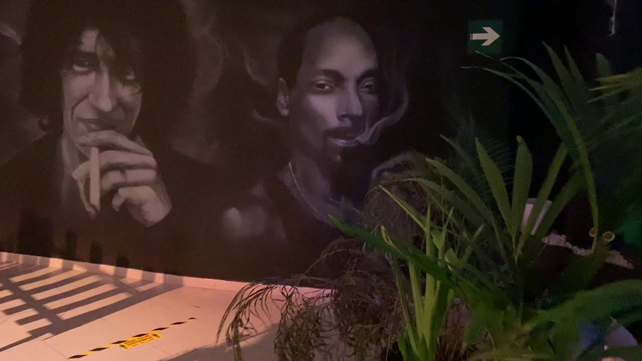 Best Weed Cannabis Club Las Americas Costa Adeje Tenerife.