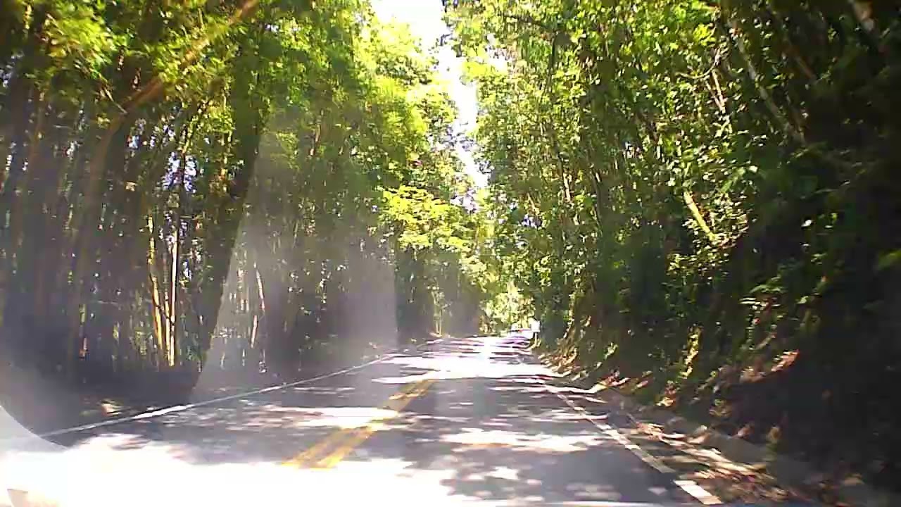 Forró na estrada domingo viagem tranquila