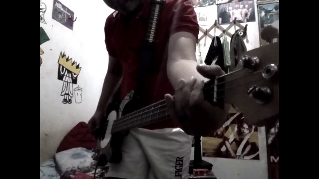 she past away -  sanri (Bass Cover)