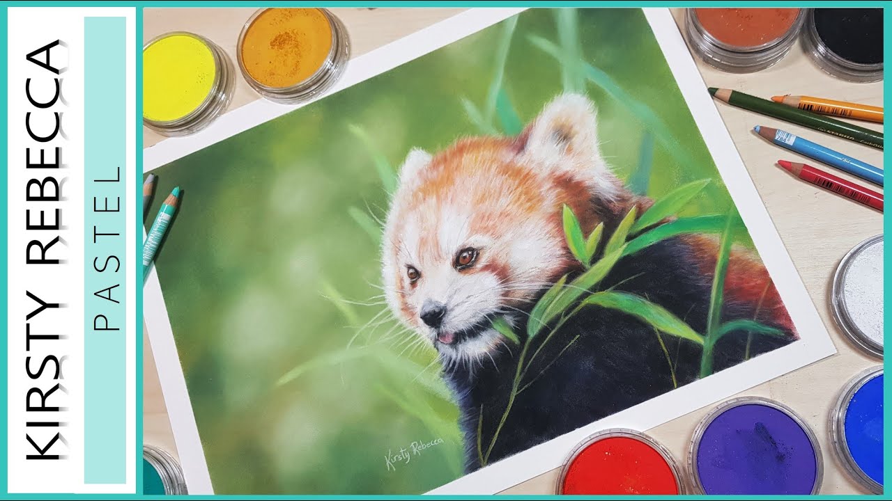 BEGINNERS PASTEL TUTORIAL // How to draw a realistic red panda using pan pastels and pastel pencils!