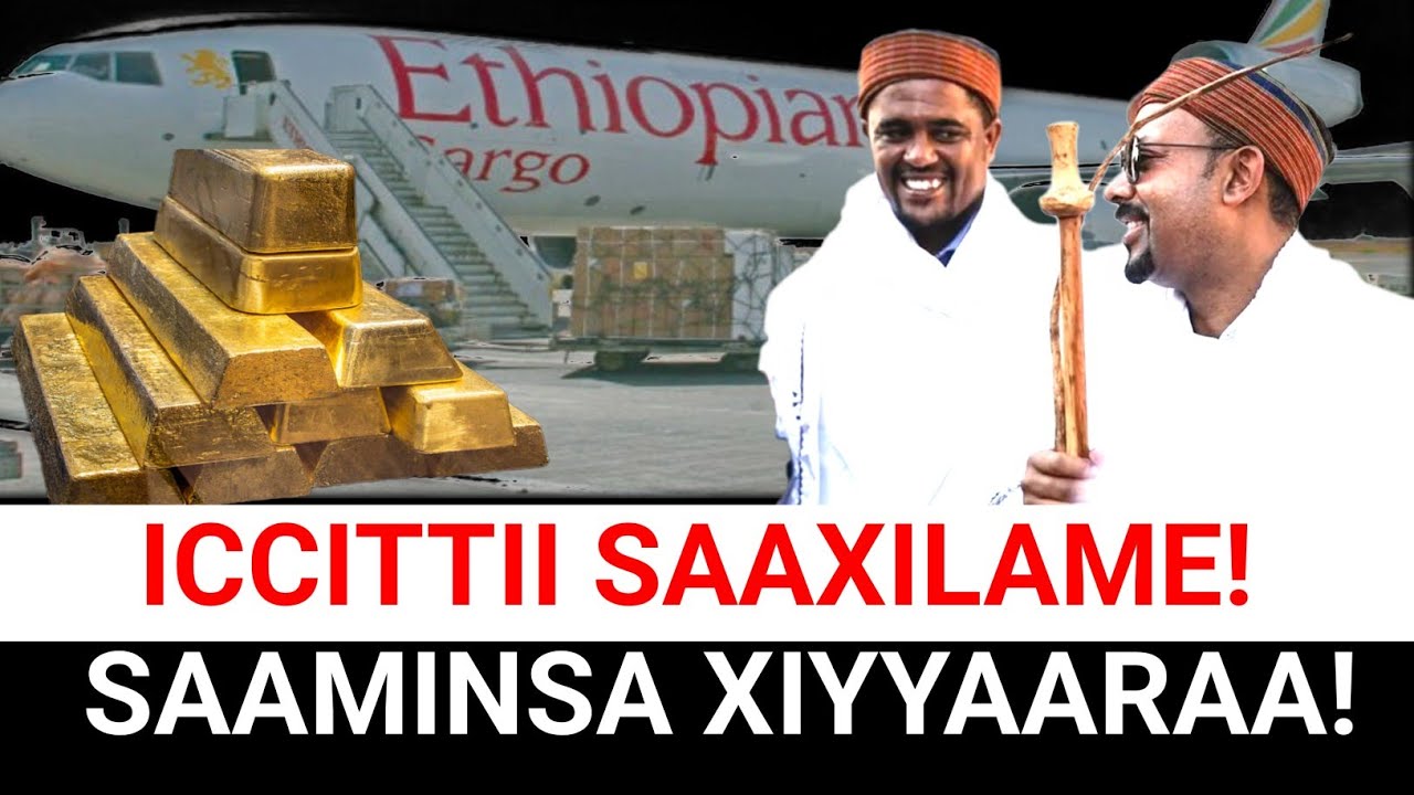 Iccitii Saaxilame: Saaminsa Xiyyaaraa Shimallis fi Abiy | Moha Oromo 