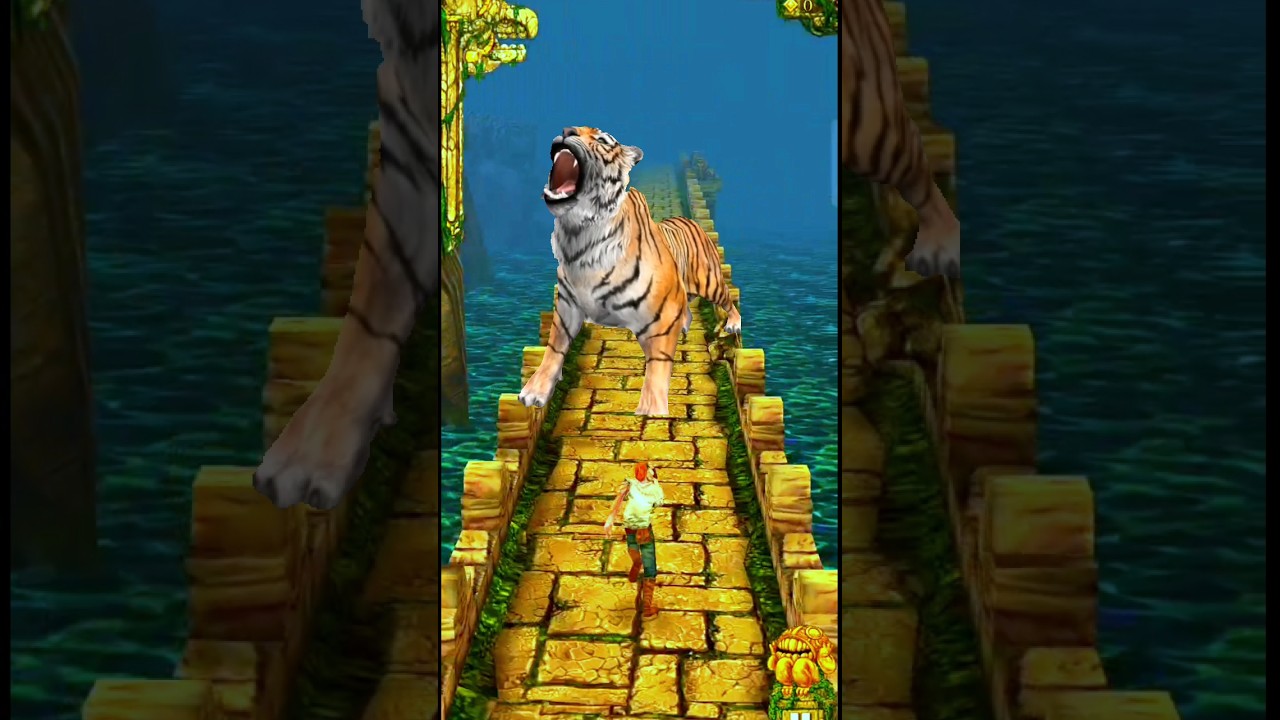 Tiger Attack Me 🤯 | #shorts | #2246