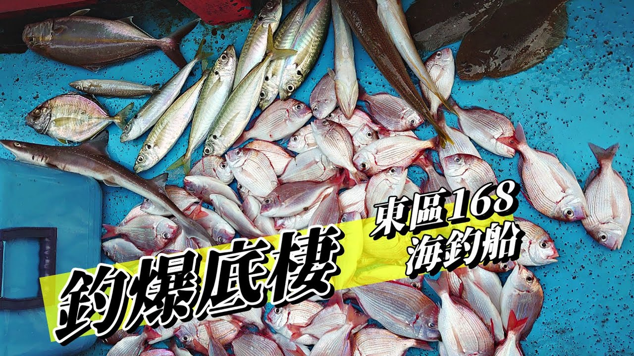 【海釣船釣魚】東區168海船釣近海底棲大爆釣，每一竿中魚都有滿滿的期待與驚喜！