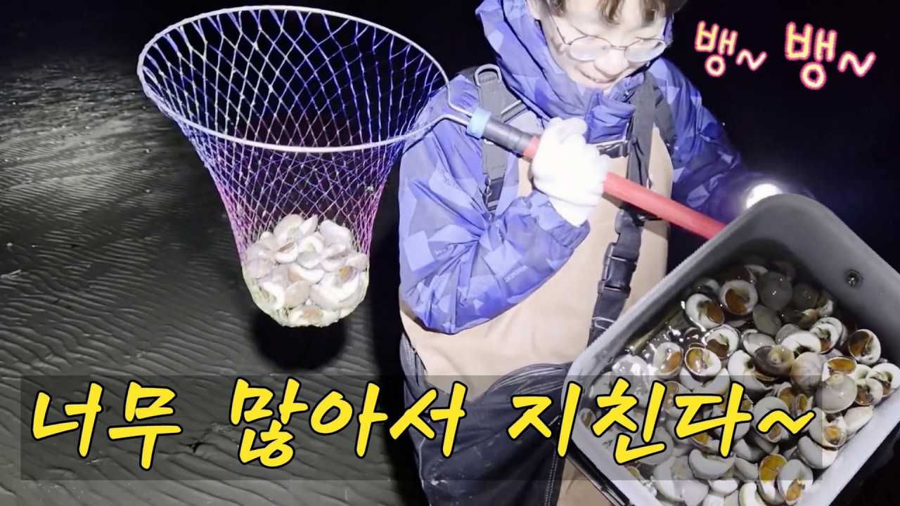 해변에 많아도 너무 많습니다. 봄해루질 시작은 이곳에서~ #해루질