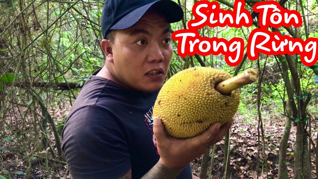 TXTV - Thử Thách sinh Tồn Thánh Xàm Vào Rừng tránh Đại Dịch