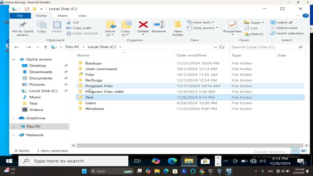 attrib command in windows