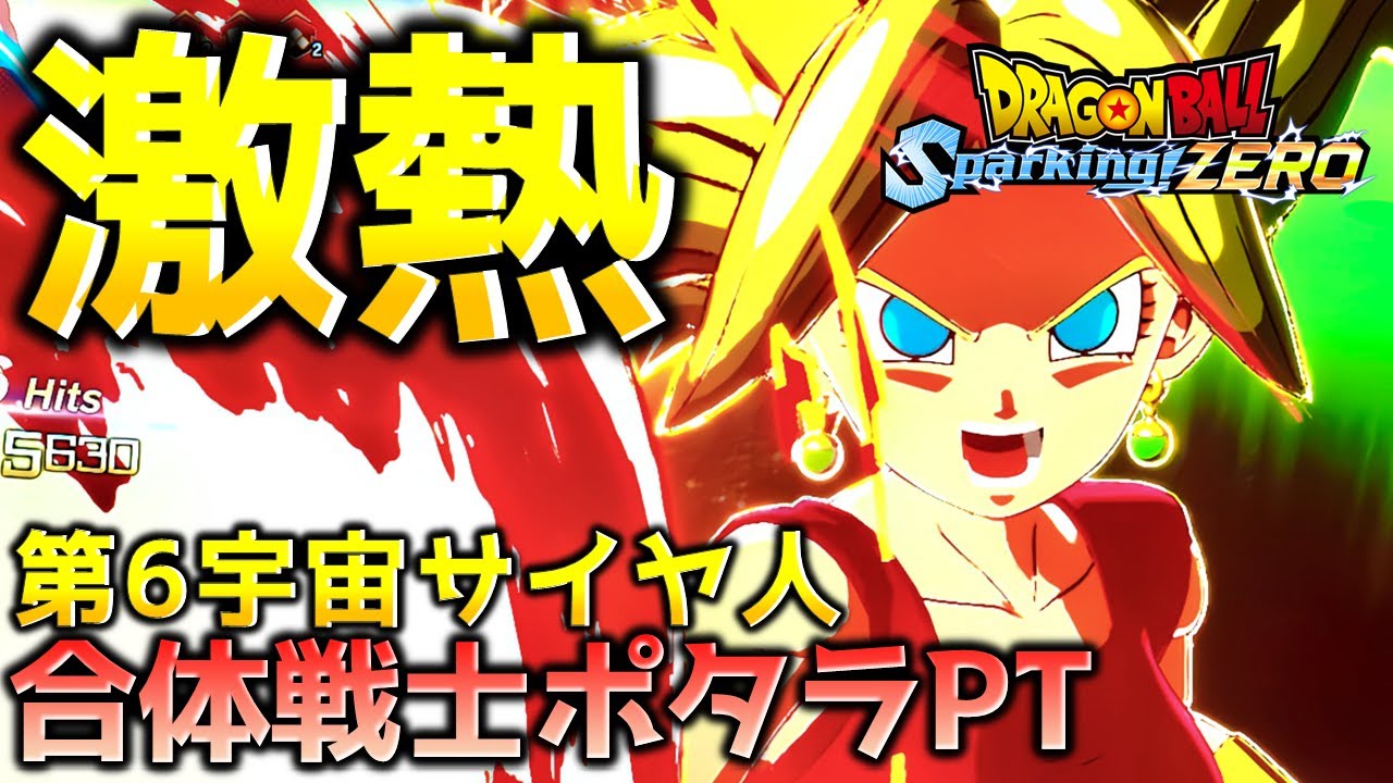 ポタラ合体戦士ケフラPTによるDPランクマッチ【ドラゴンボール スパーキングゼロ】