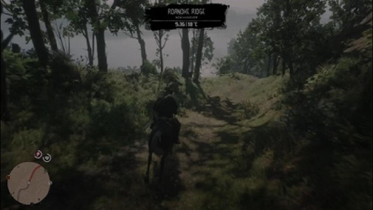 Red Dead Redemption 2_20231113044354