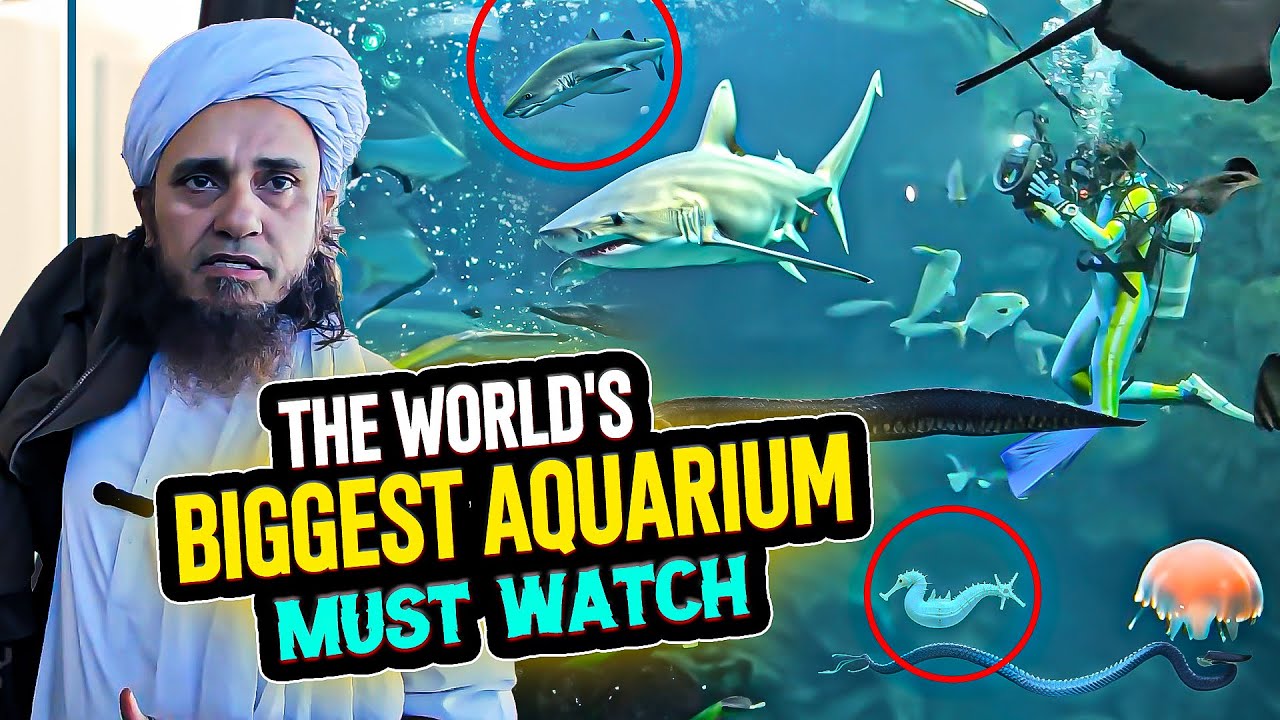 Mufti Tariq Masood - The World's Biggest Aquarium Vlogs