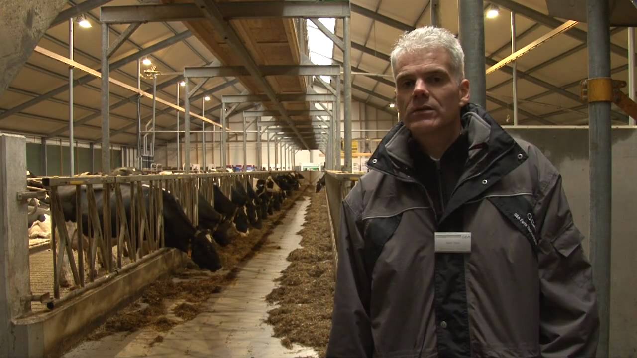 Open dag melkveebedrijf fam. Flinkert - Meppel