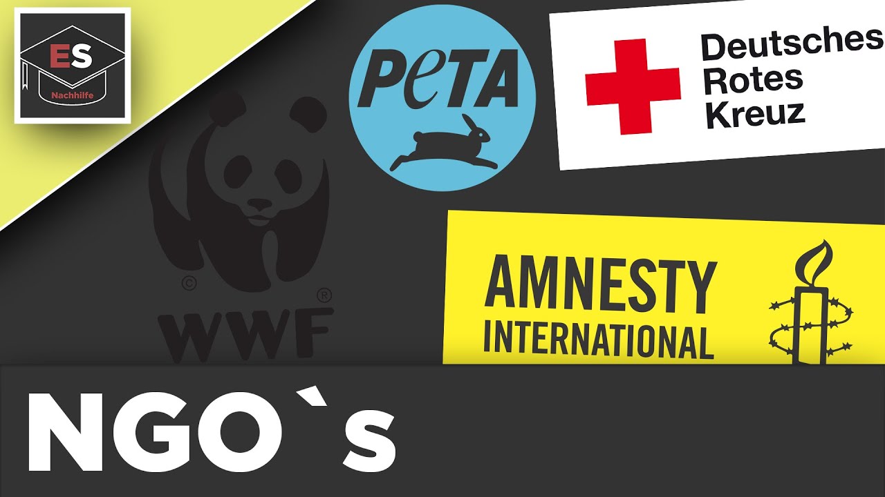 NGO&acute;s - Nichtregierungsorganisationen - Beispiele - Kritik - NGO einfach erkl&auml;rt!