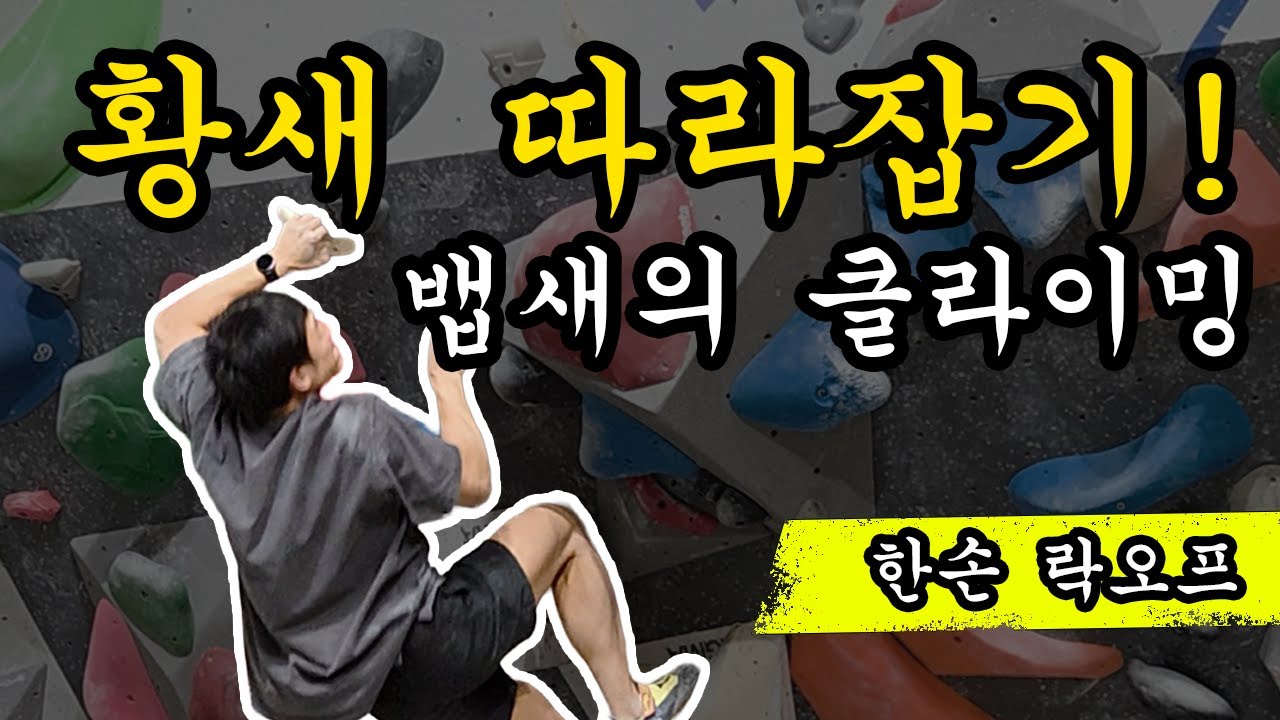 클라이밍 잘하고 싶으세요? 고수에게 전수받은 '이것' (feat. 뱁새의 황새 추격전)[자막On]