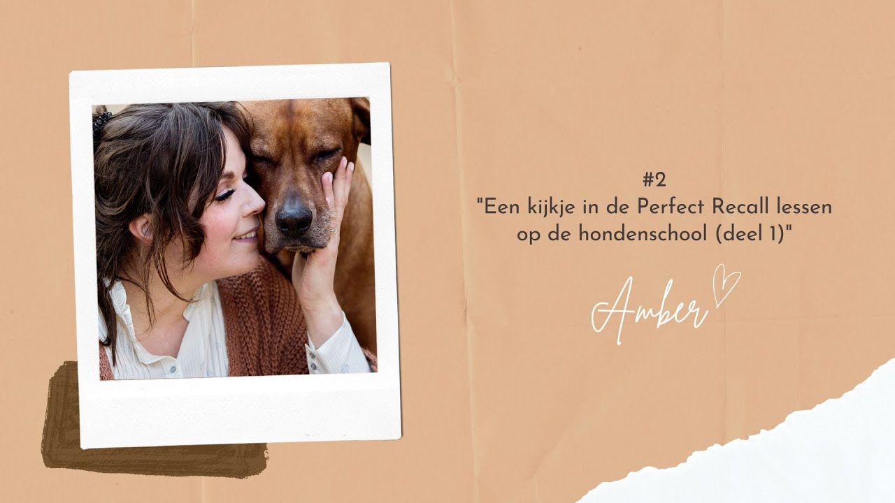 Perfect Recall lessen op de hondenschool deel 1