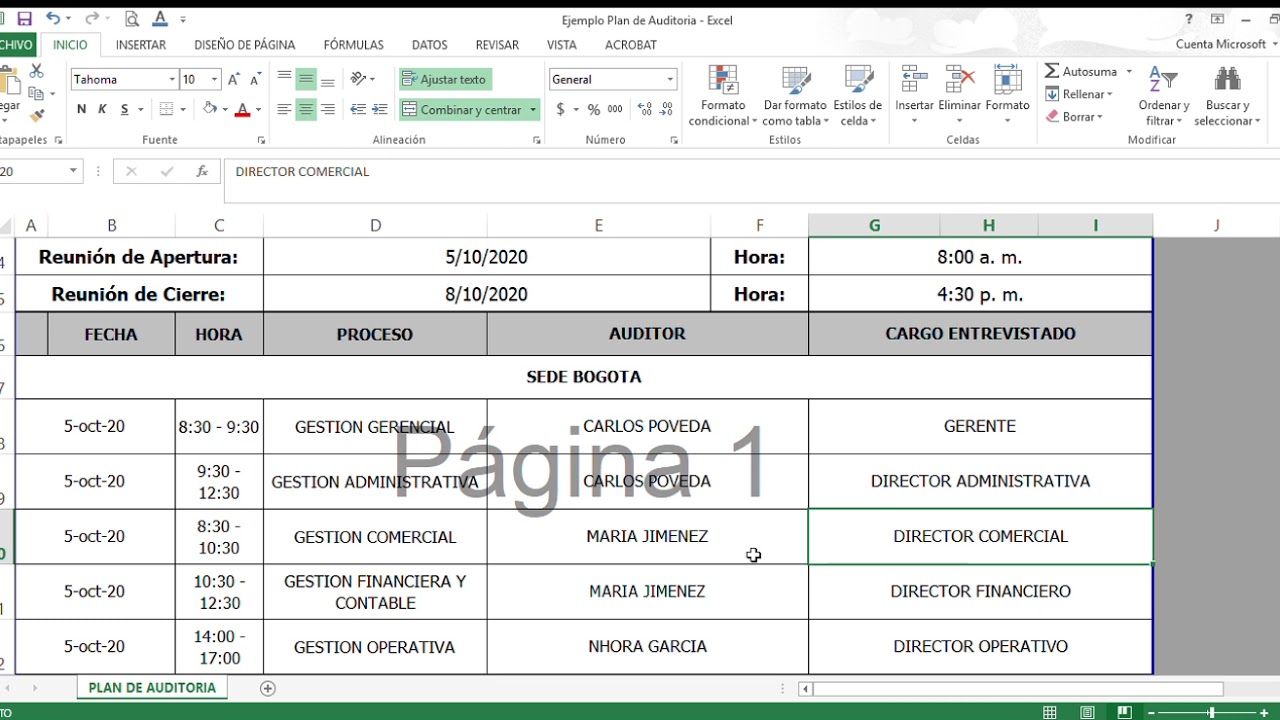 Ejemplo Plan de Auditoria   Excel