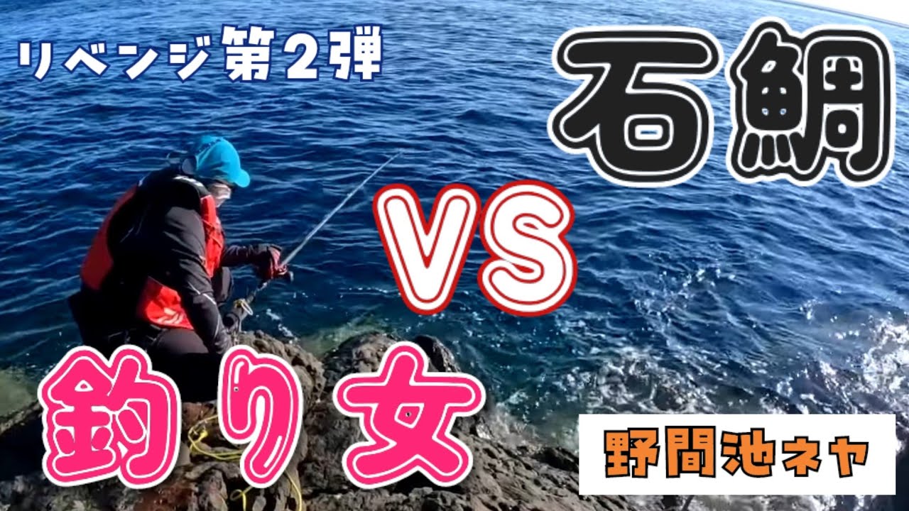 【秘技】石鯛来た…！“マル秘釣法”がヤバすぎた
