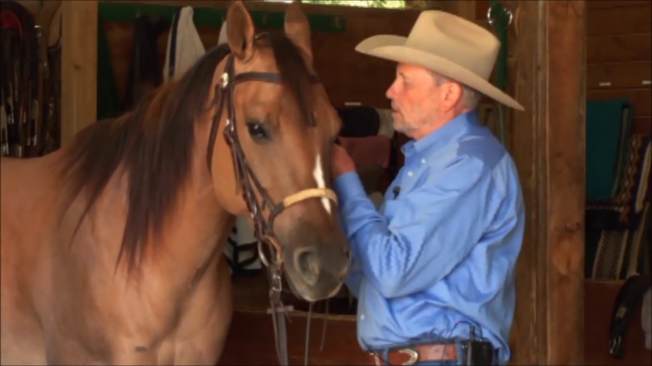 Charles Wilhelm shows how to properly fit and adjust a snaffle bit