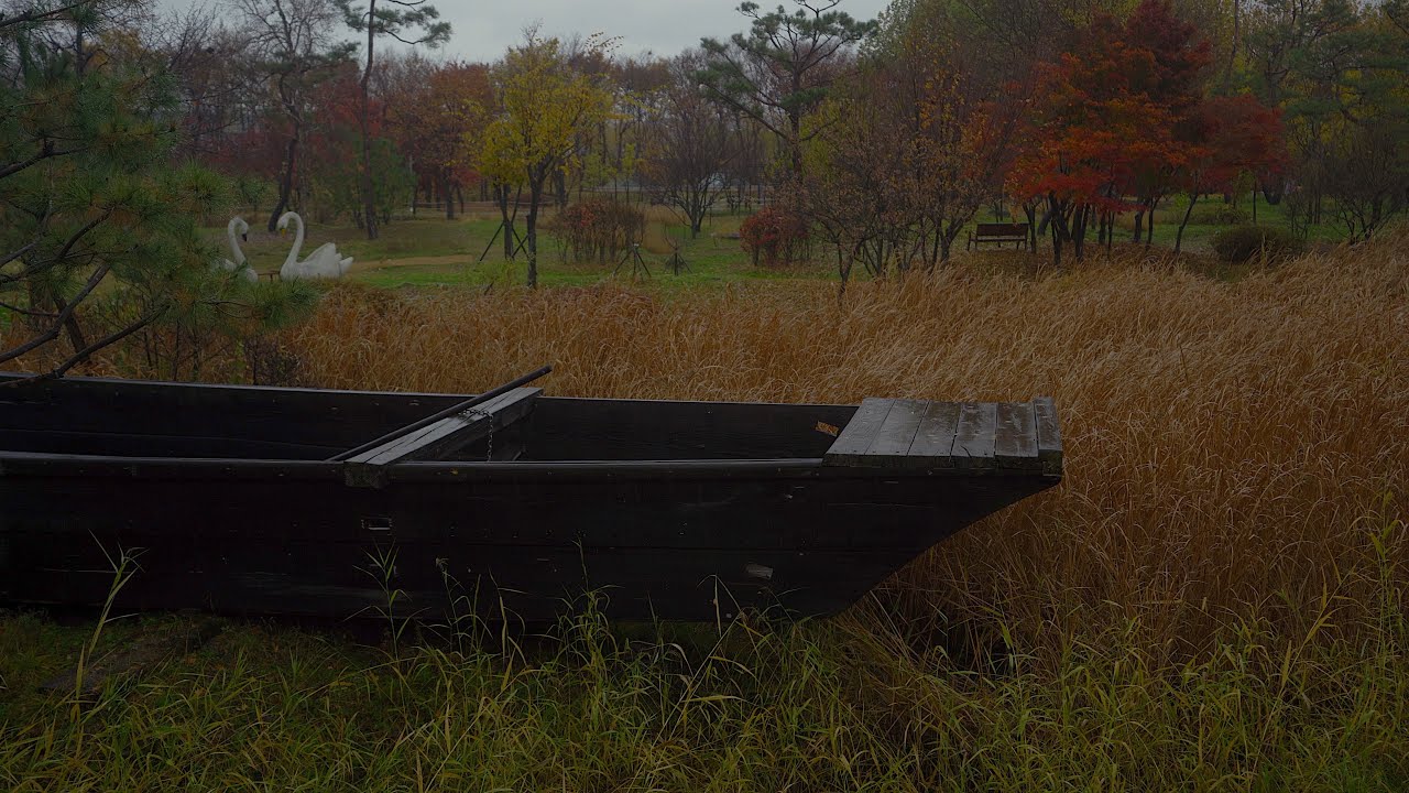 Rain Sound Relaxing Ambience Sounds for Sleeping