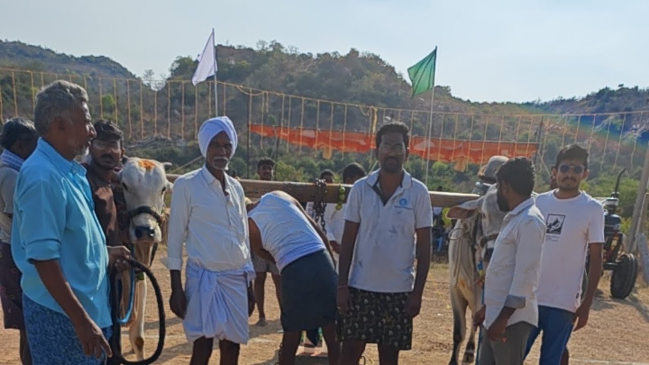 రుద్రాంజనేయ రెడ్డి 6 పళ్ళు వెలుగొండ 2026 Velugonda Ongole bulls compitition 2026