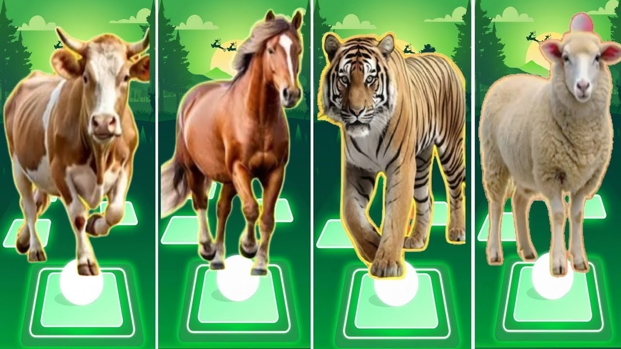 🐄Funny Cow 🆚🐎Funny Horse 🆚🐅Funny Tigers 🆚🐑Funny Sheep 🎶 Coffin Dance Song Tiles Hop EDM Rush