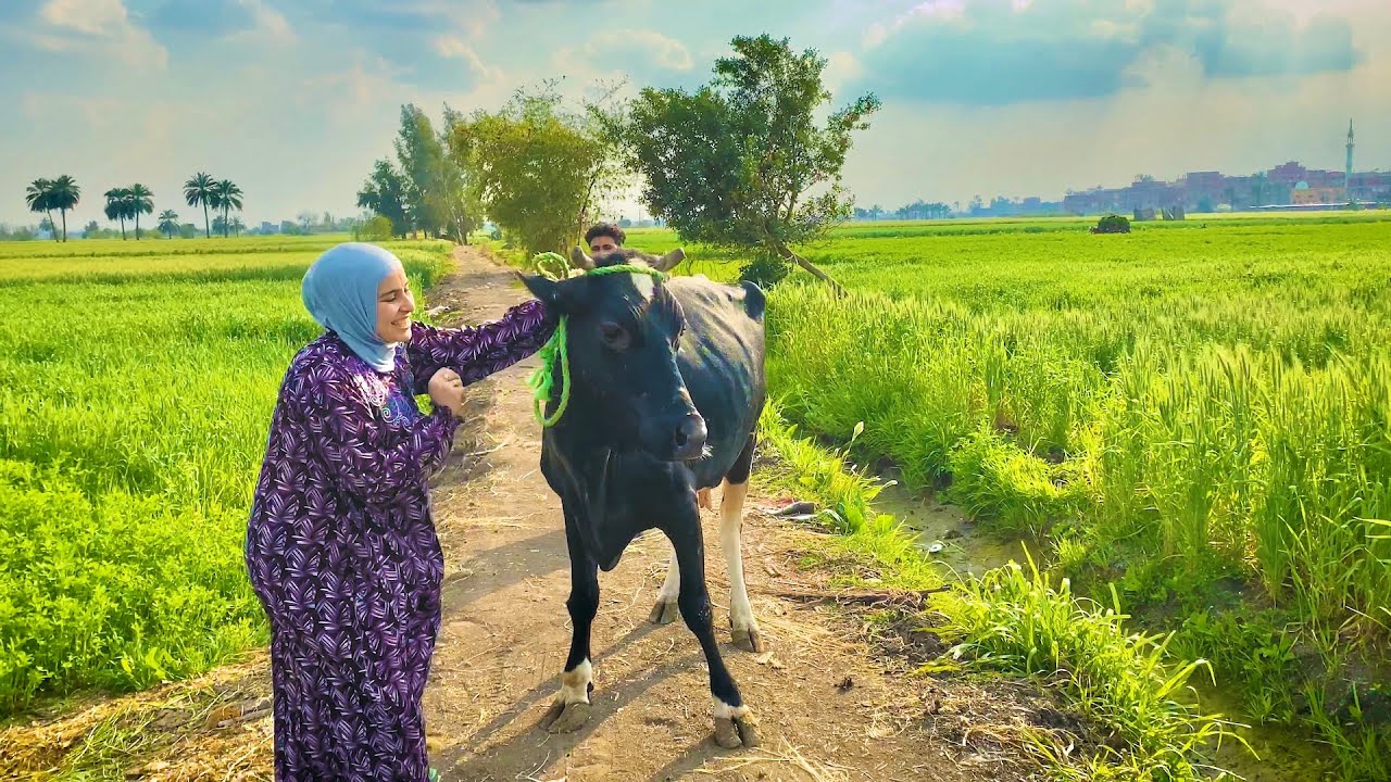 تحدي ٢٤ ساعة مع الجموسة 🐄 كلنا وشربنا مع بعض😱