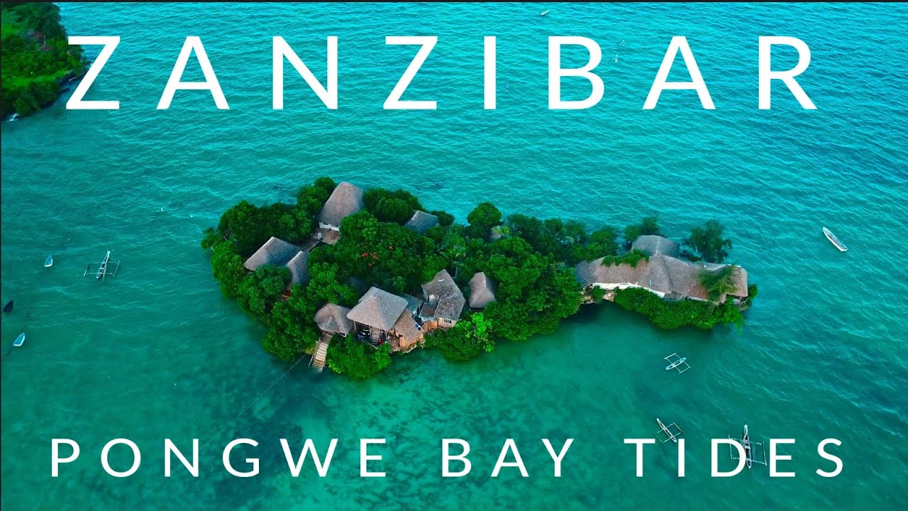 Zanzibar: Pongwe Bay Tides [FromAbove] [4K]
