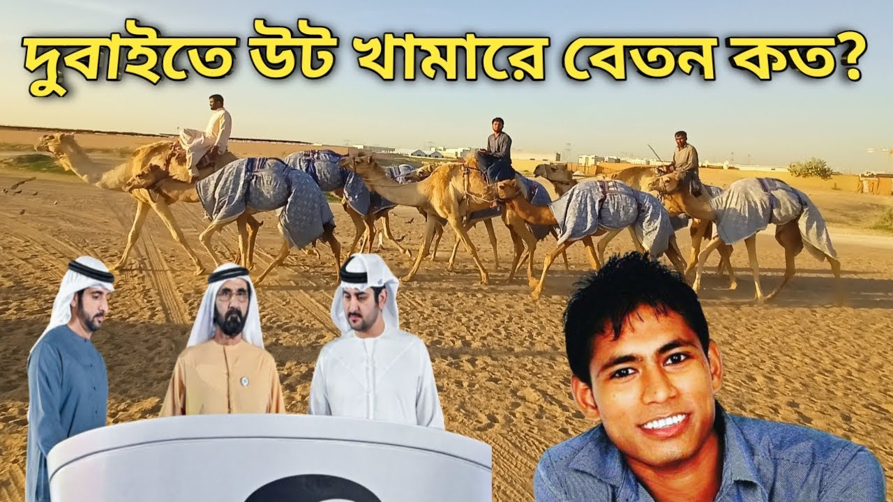 দুবাইতে উট খামারে বেতন কত || Dubai Jobs Income || Dubai Jobs Visa camel farm || দুবাই কাজের ভিসা