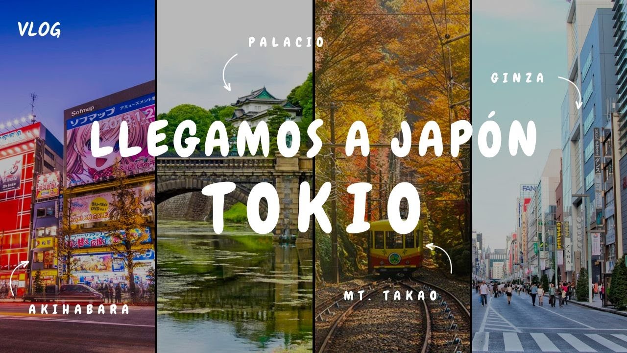 Llegamos a TOKIO: La Ciudad Más Grande e Increíble del Mundo. Visitamos Ginza, Akihabara y Mt. Takao