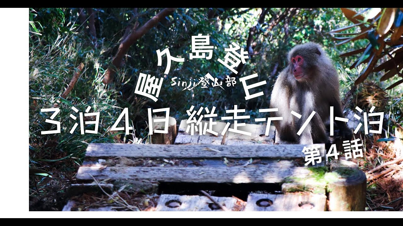 【第4話】屋久島縦走テント泊。新高塚小屋で出会ったガイドさんめちゃ良すぎる！屋久島のガイドさんは全員いい人説