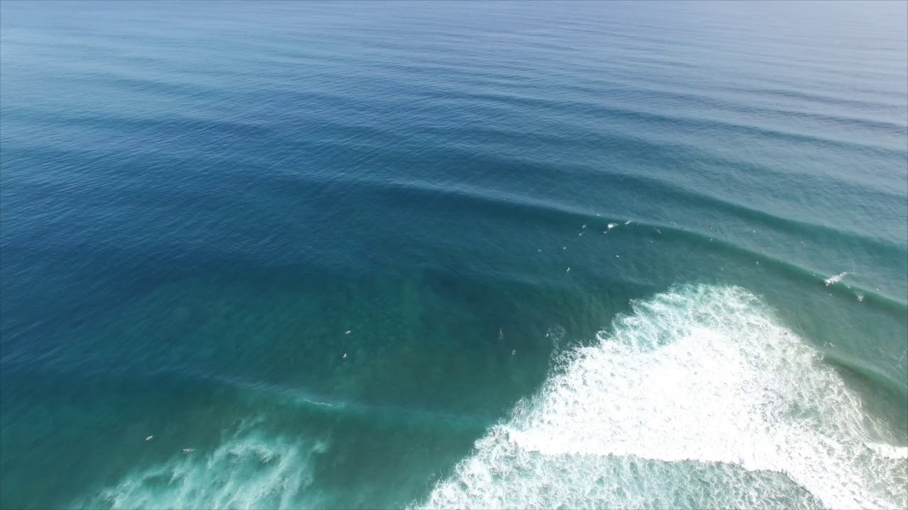 SURFING W LOS CARACAS