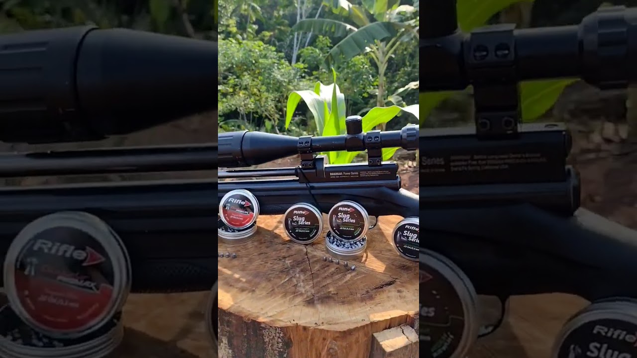 Beeman 1336 |slug rifle|.