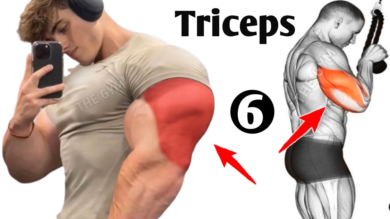 6 Exercises for Massive Triceps Growth Fast